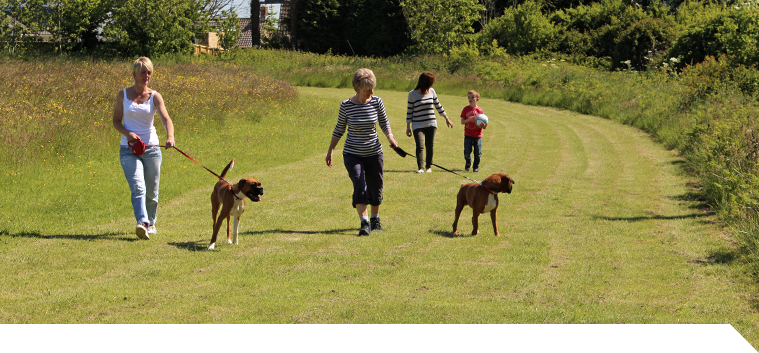 Isle of Wight events