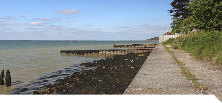 IOW Camping Park